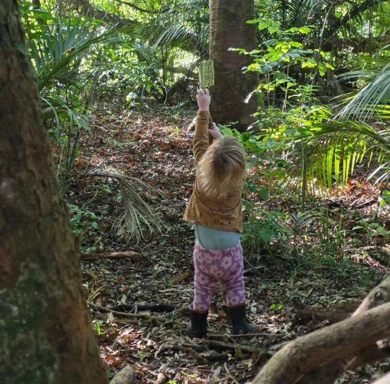 A toddler reaches up to touch a sign on a tree in the bush.