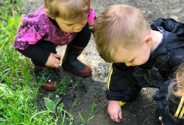 Two toddlers crouch to explore the soil and leaves in a garden bed.
