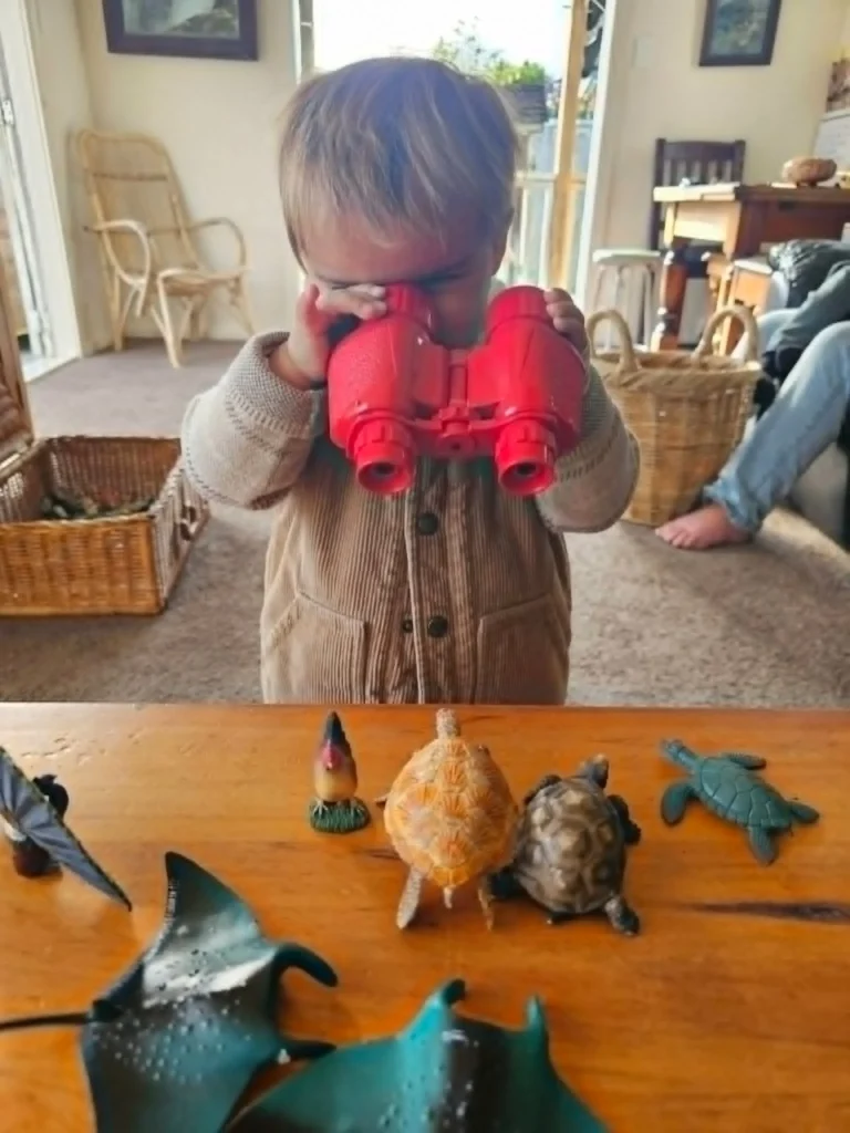 A toddler looks through red toy binoculars, above a photo of toy sea creatures including turtles and stingrays on a table.