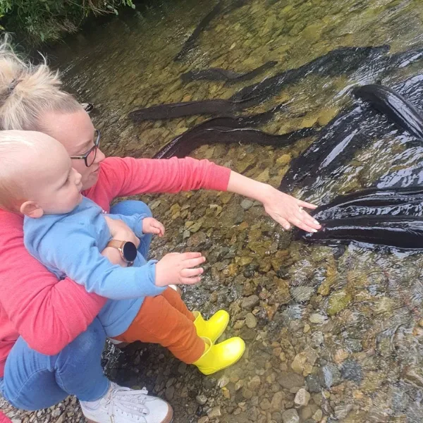 Children exploring the edge of a stream with Kayleen, home-based educator in Upper Hutt